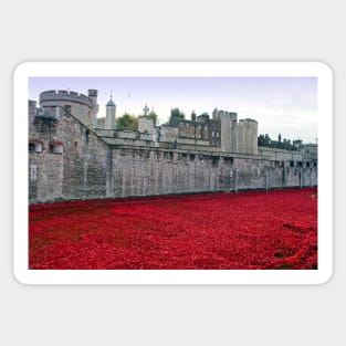 Tower of London Red Poppies Sticker